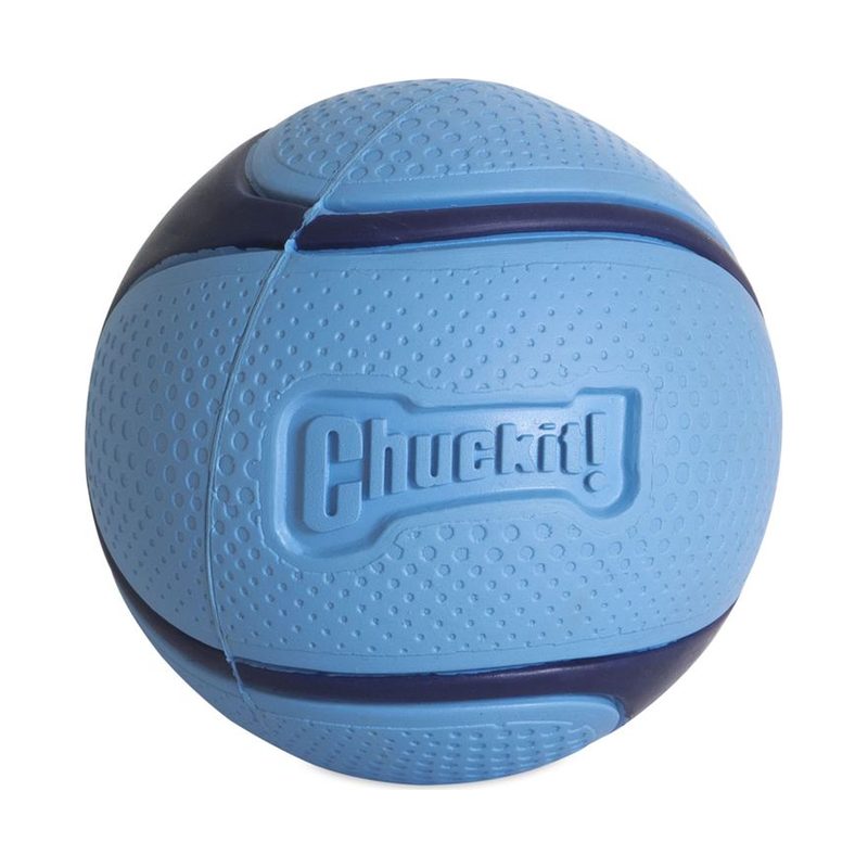 Chuckit! Sniff Fetch Jambon Kokulu Köpek Oyun Topu (Orta Boy)